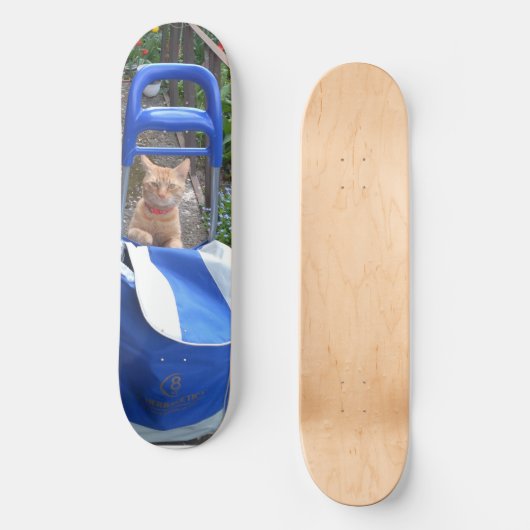 Skateboard Ginger Cat (Voorkant)