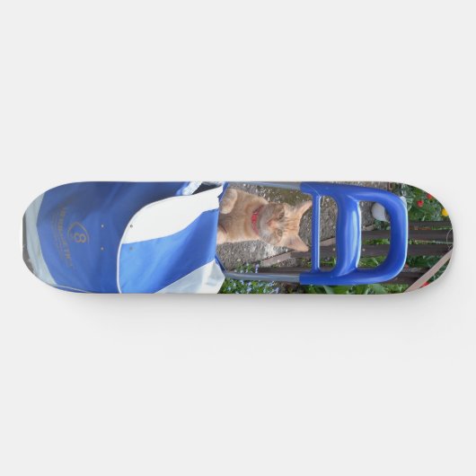 Skateboard Ginger Cat (Horizontaal)
