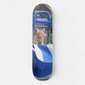 Skateboard Ginger Cat (Voorkant)