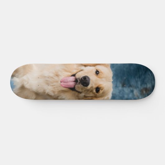 Skateboard Inteligente perro Labrador  (Horizontaal)