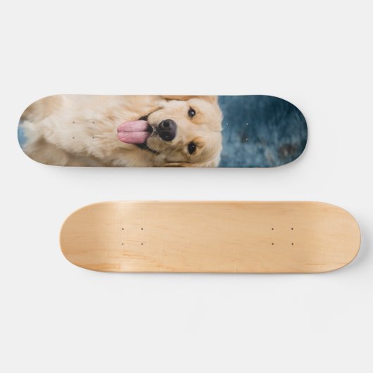 Skateboard Inteligente perro Labrador  (Horizontaal)