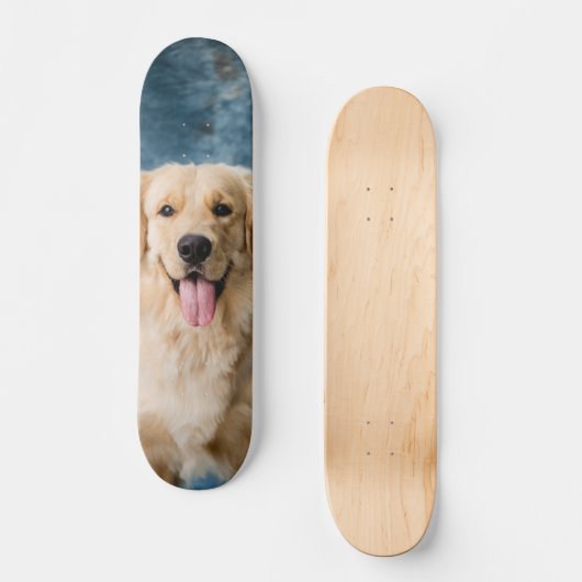 Skateboard Inteligente perro Labrador  (Voorkant)