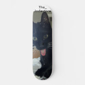 Skateboard kat tong uit (Voorkant)