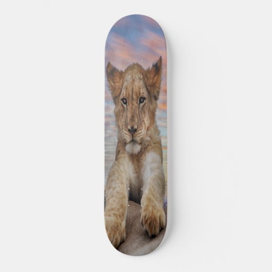Skateboard LION CUB SUNSET (Voorkant)