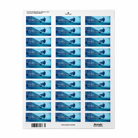 Skateboard Mailing Labels (Full Sheet)