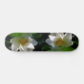 Skateboard met fijne witte Lotusventilator (Horizontaal)