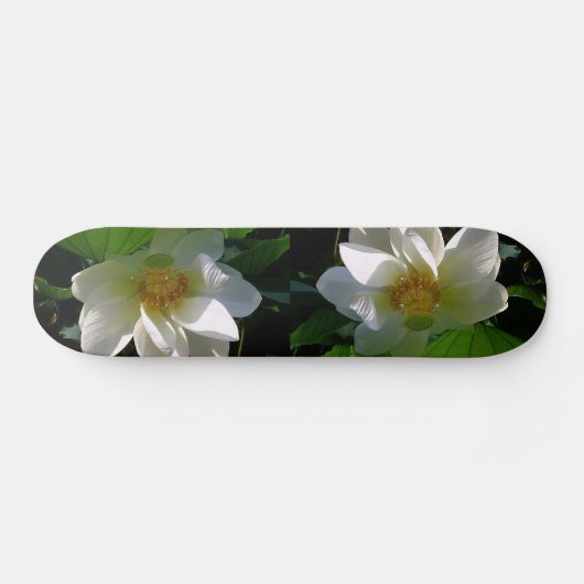 Skateboard met fijne witte Lotusventilator (Horizontaal)