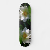 Skateboard met fijne witte Lotusventilator (Voorkant)