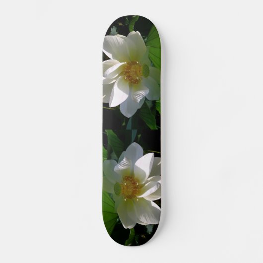 Skateboard met fijne witte Lotusventilator (Voorkant)