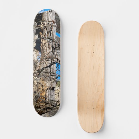 Skateboard met Gnarly Rusty Barbed Wire-ontwerp (Voorkant)