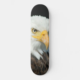 Skateboard - Natuur Bird Eagle