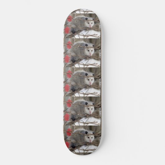 Skateboard Opossum Natuur (Voorkant)