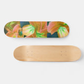 Skateboard "Oranje Crush" (Horizontaal)