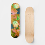 Skateboard "Oranje Crush" (Voorkant)