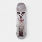 Skateboard Perro Boxer sentado en la nieve (Voorkant)