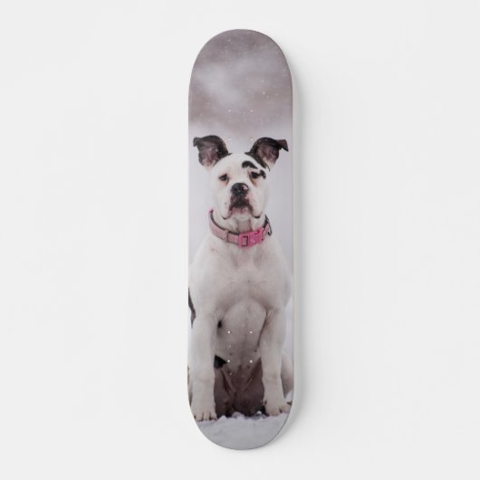 Skateboard Perro Boxer sentado en la nieve (Voorkant)