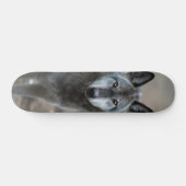 Skateboard Perro lobo salvaje depredador curioso (Horizontaal)