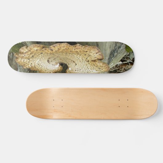 Skateboard Plank Schimmel op boomstronk (Horizontaal)