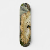 Skateboard Plank Schimmel op boomstronk (Voorkant)