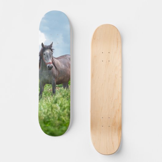 Skateboard Poderoso caballo gris en el campo (Voorkant)