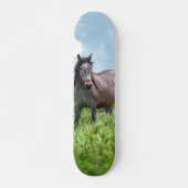 Skateboard Poderoso caballo gris en el campo (Voorkant)