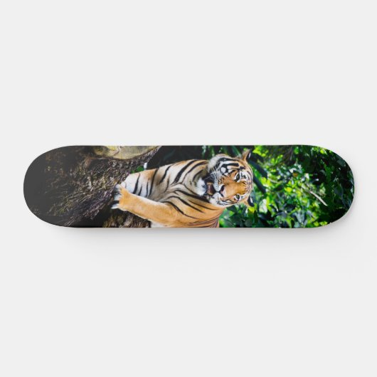Skateboard Poderoso cazador tigre de Bengala (Horizontaal)