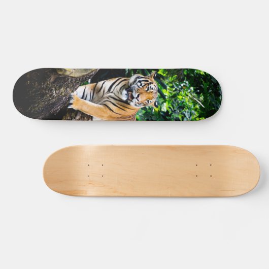 Skateboard Poderoso cazador tigre de Bengala (Horizontaal)