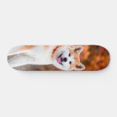 Skateboard Poderoso perro Akita japonés sentado (Horizontaal)