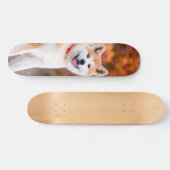 Skateboard Poderoso perro Akita japonés sentado (Horizontaal)