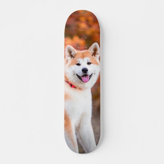 Skateboard Poderoso perro Akita japonés sentado (Voorkant)