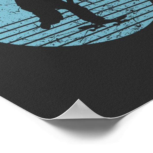 skateboard poster (Hoek)