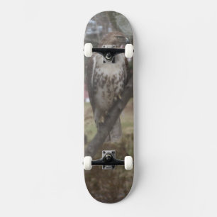 Skateboard Red-tailed Hawk - Kies uw dek