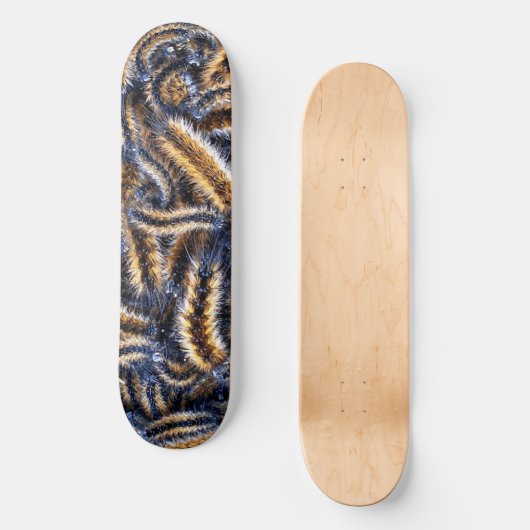 skateboard rups (Voorkant)