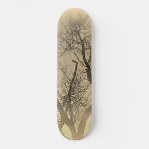 SKATEBOARD STIJL EN DESIGN