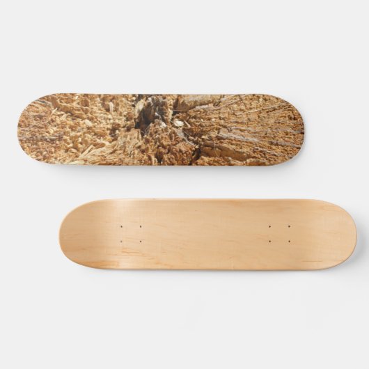 SKATEBOARD STIJL EN DESIGN (Horizontaal)