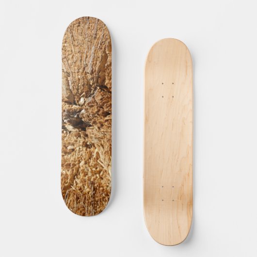 SKATEBOARD STIJL EN DESIGN (Voorkant)