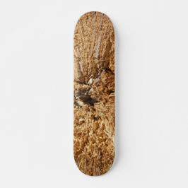 SKATEBOARD STIJL EN DESIGN