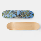 SKATEBOARD STIJL EN DESIGN (Horizontaal)
