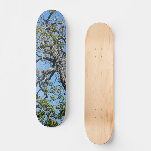 SKATEBOARD STIJL EN DESIGN (Voorkant)