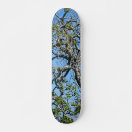 SKATEBOARD STIJL EN DESIGN