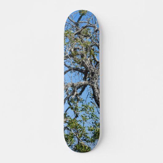 SKATEBOARD STIJL EN DESIGN (Voorkant)