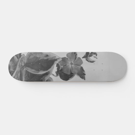 SKATEBOARD STIJL EN DESIGN (Horizontaal)