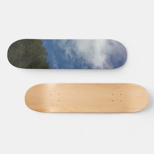 Skateboard stijl en design (Horizontaal)