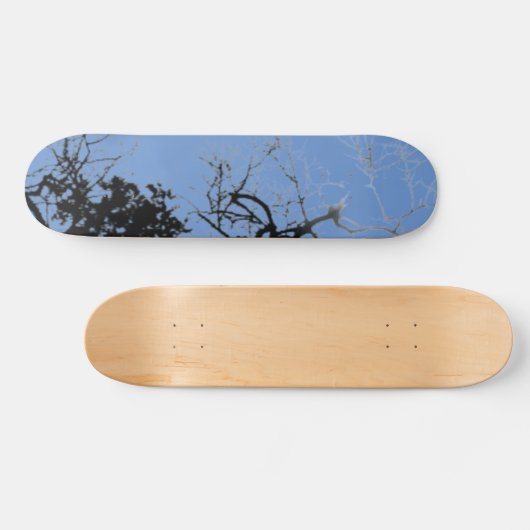 SKATEBOARD STIJL EN DESIGN (Horizontaal)