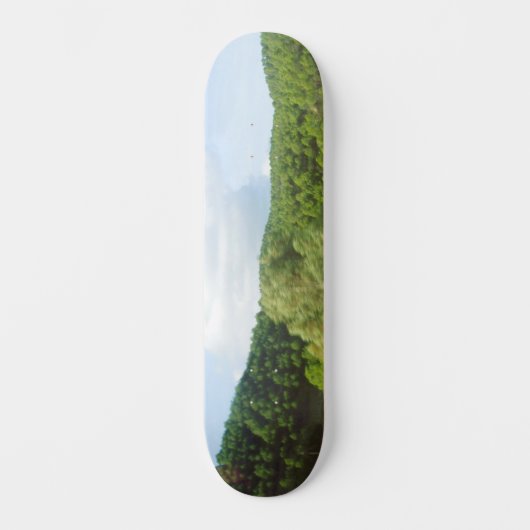 SKATEBOARD STIJL EN DESIGN (Voorkant)