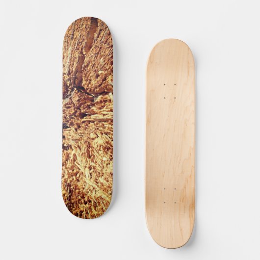 SKATEBOARD STIJL EN DESIGN (Voorkant)