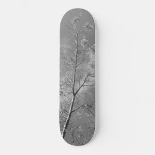 Skateboard stijl en design