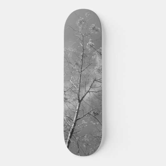 Skateboard stijl en design (Voorkant)