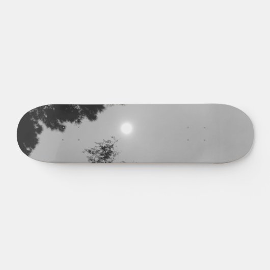 SKATEBOARD STIJL EN DESIGN (Horizontaal)