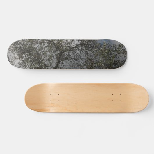 SKATEBOARD STIJL EN DESIGN (Horizontaal)